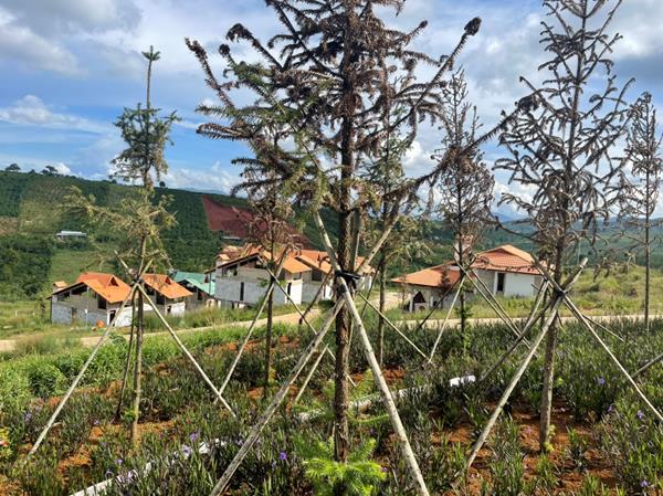 Làng Pháp Bảo Lộc Resort & Spa